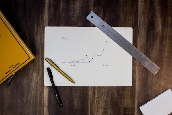 “How to Use Analytics Tools to Optimize Your Online Business Performance”