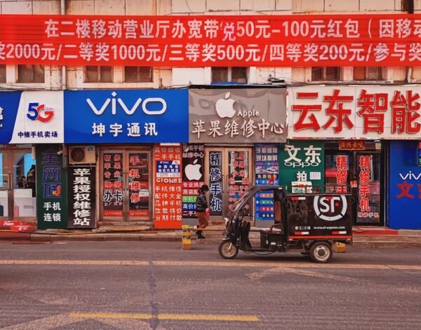 Cross-Border E-Commerce in Asia: Opportunities and Challenges for Online Businesses