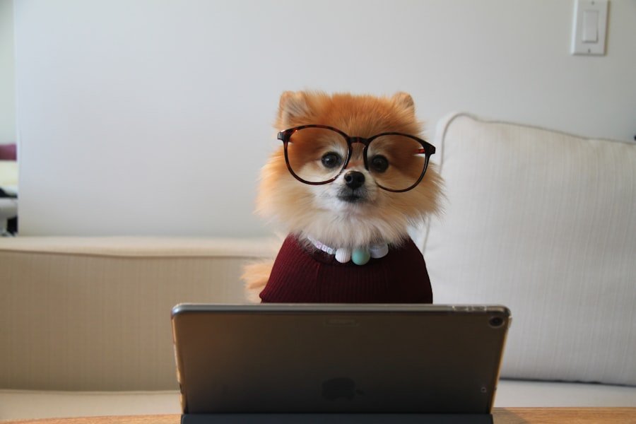 Photo AI Tutor