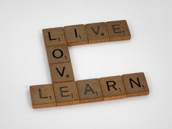 The Rise of Hybrid Learning Models Combining Virtual and In-Person Education