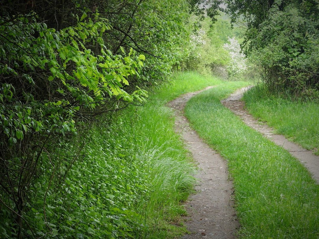 Photo Personalized Learning Paths