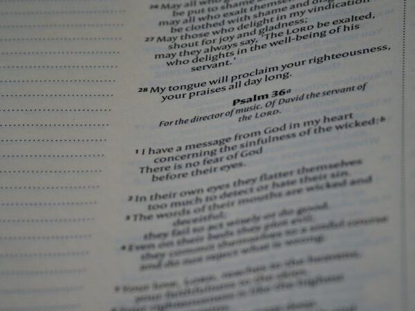 The Role of Feedback and Assessment in Online Teaching