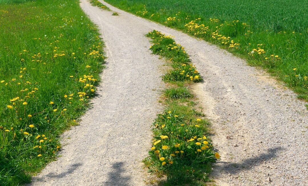Photo personalized learning paths