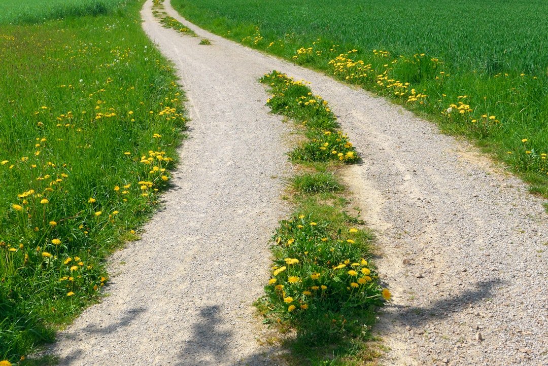 Photo personalized learning paths