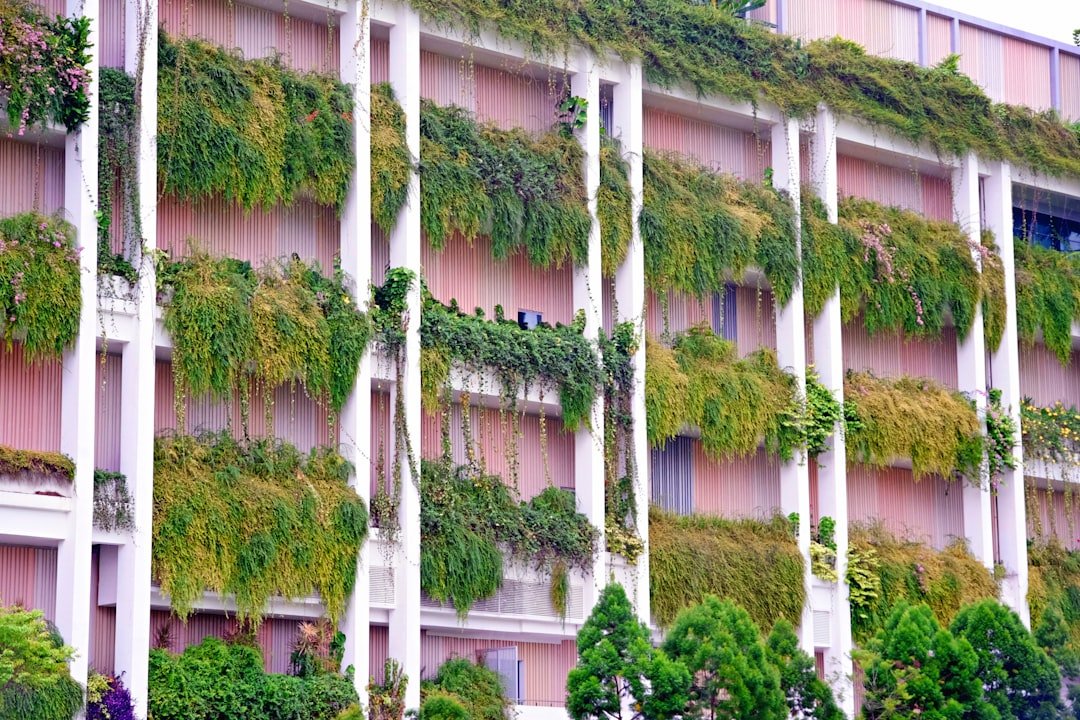 Photo Sustainability practices