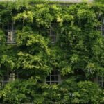 Photo Sustainability practices