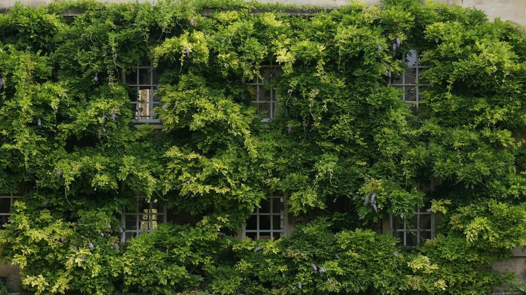 Photo Sustainability practices
