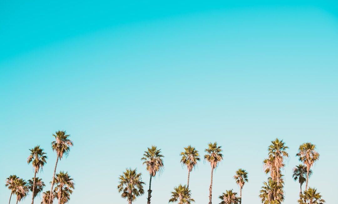 Photo micro-credentials