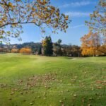 Photo Personalised Learning Paths