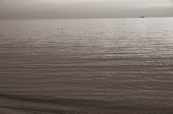 Promoting Academic Integrity in Online Education