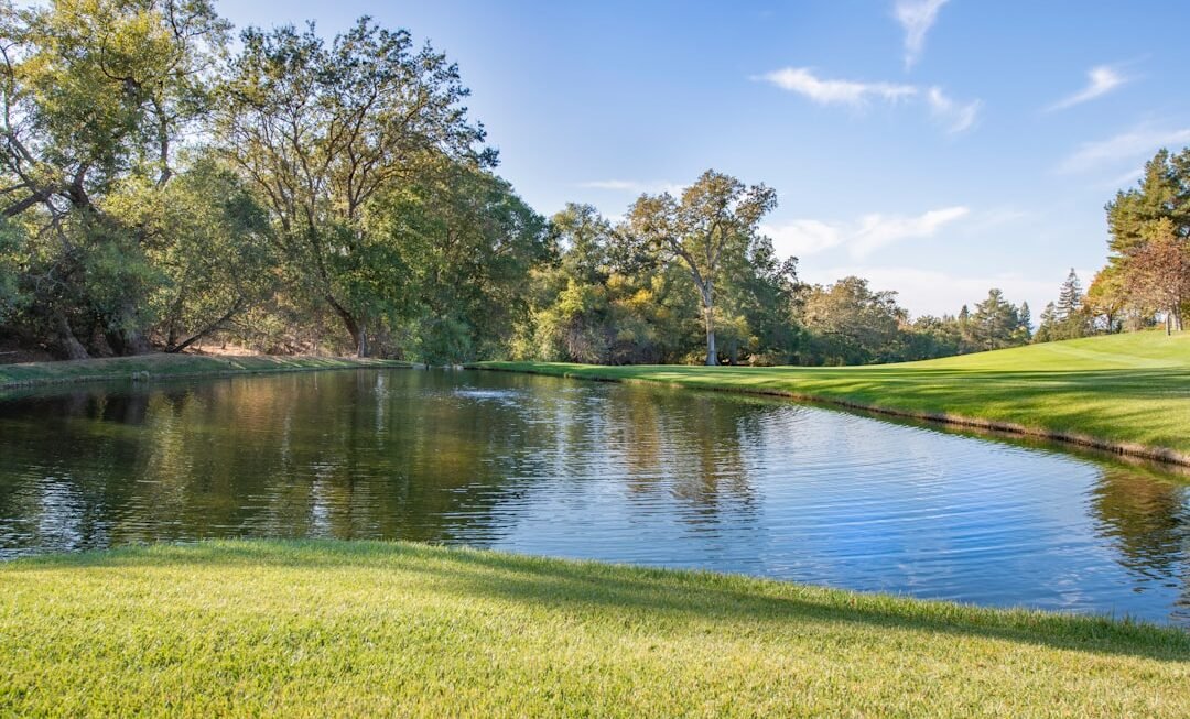 Photo Zero-Party Data