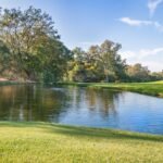 Photo Zero-Party Data